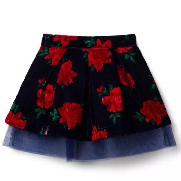 NWT Janie and Jack Rose Velvet Tulle Skirt | 2T - Picture 2 of 6